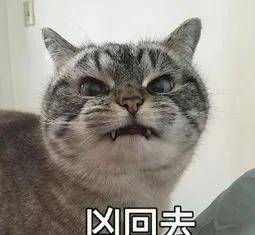 0bb7d76e852d4acdbbe426e5f00b2e96.jpeg