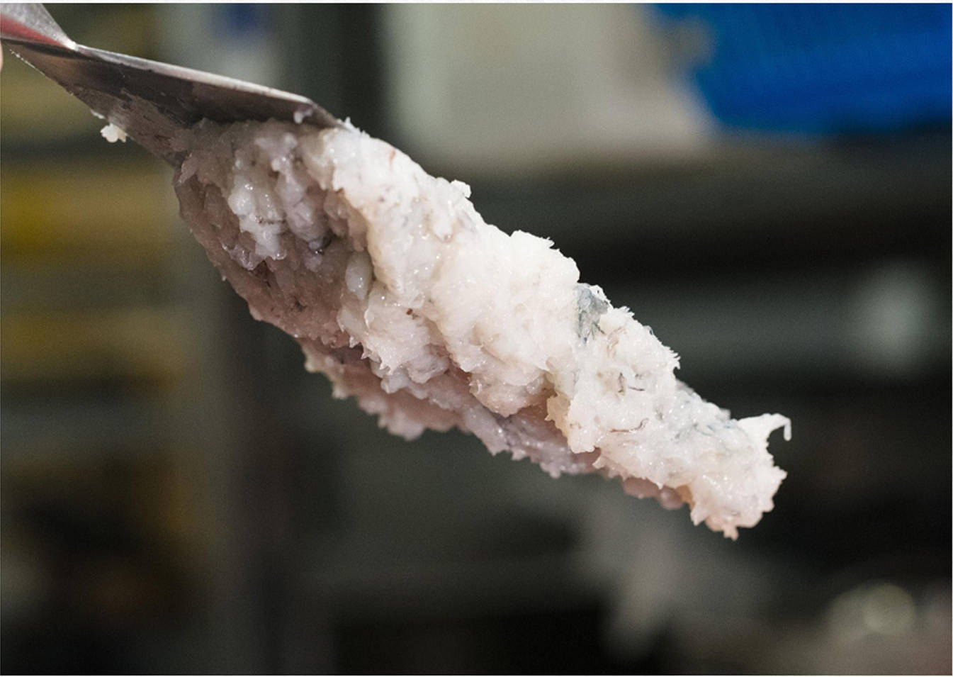 把虾胶冷藏一会,让它回复低温及变得挺身,即可加调味料.