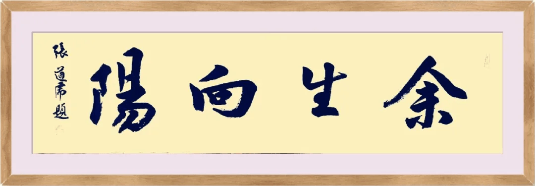 著名歌星雪莲卓玛为音乐作品《余生向阳》寄语