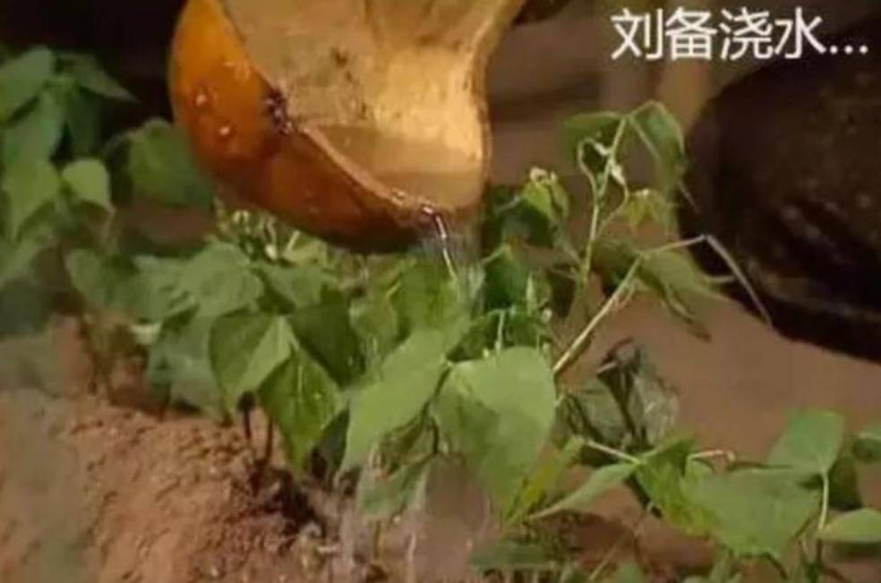 包拯|终于明白为什么看悲情剧不能开弹幕了，原因在这里，笑出猪叫声