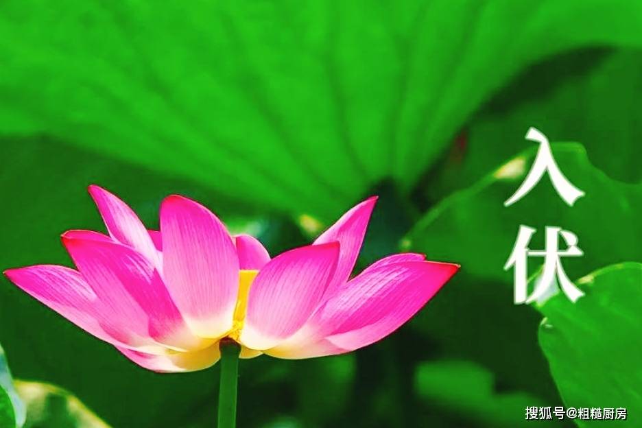 八月十五吃素馅饺子好不好