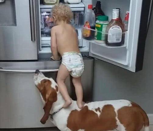 气话|熊孩子叫来狗狗偷零食,宝妈闻声赶来,眼前的惊喜令她哭笑不得