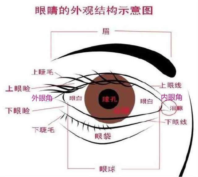 什么|秘诀：眼型对美貌有多重要？明白眼型才懂什么眼妆最合适