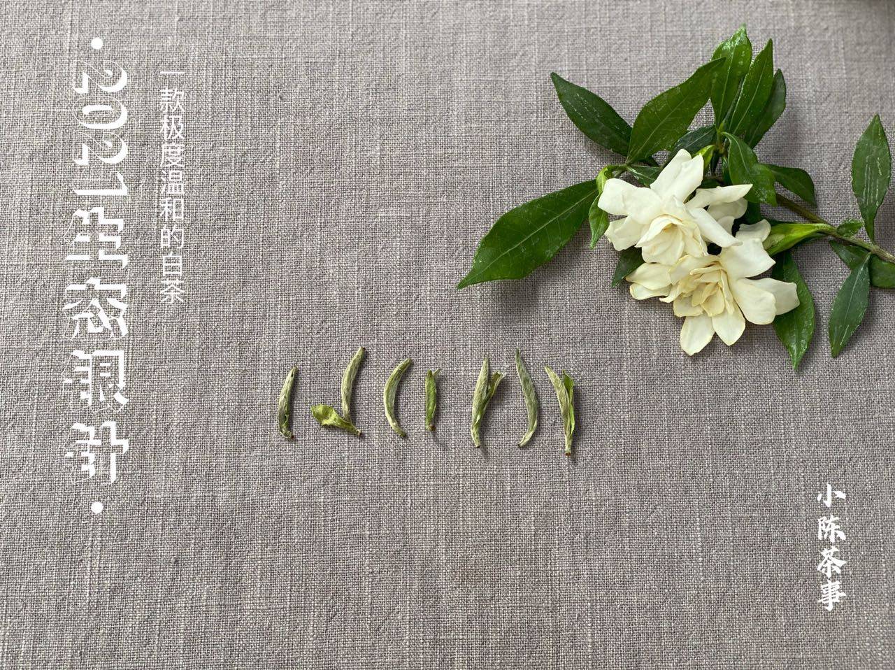 茶叶|如何判断白茶有没有受潮，老茶客教你3招，不怕存坏茶