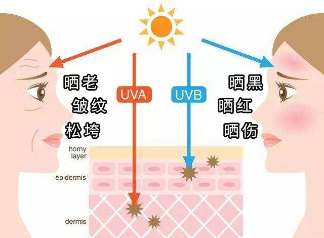 成功|酱油吃多了，皮肤会变黑吗？你被家里的长辈骗了！这才是真相！