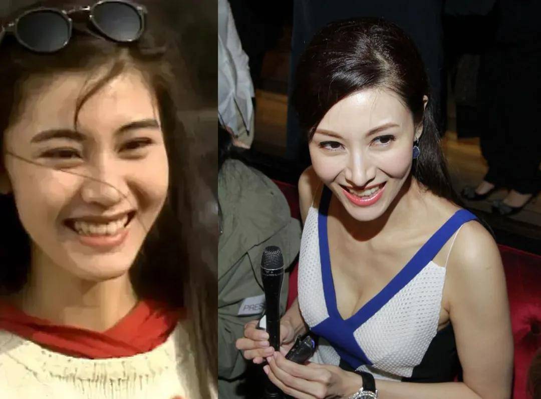 问题|给中年李嘉欣换上刘亦菲同款肉鼻头，会变什么样？