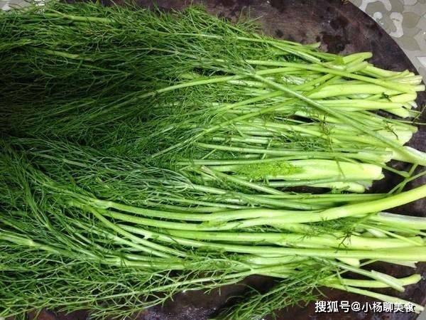 原创湿气最怕这个菜 和花生一起吃 湿气不见了 养胃降火 腰围小2圈 健康饮食 美食宝典