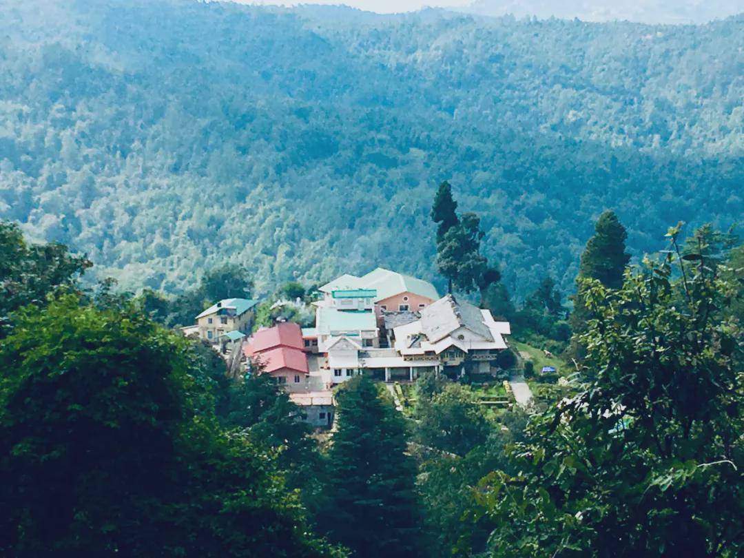 思想|高考前，理科第一的我被中文系录取，从此命运发生改变