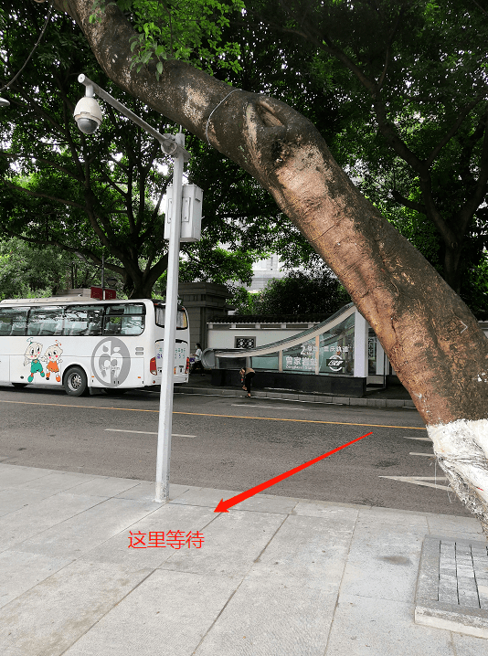 重庆“红色三岩”观光路线开通啦！10块钱就能打卡四大景点！