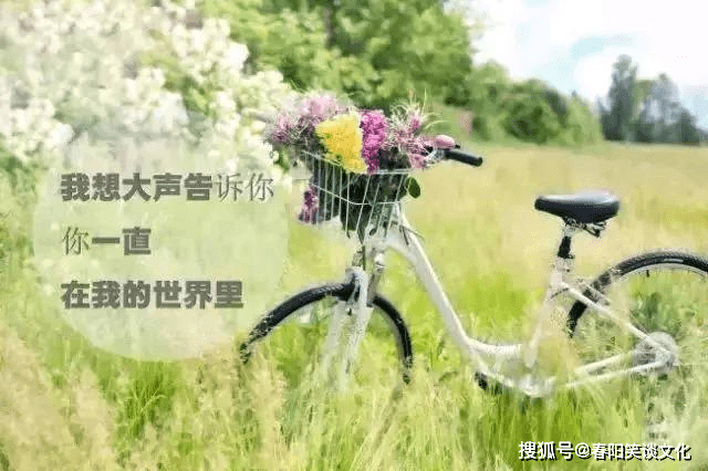 758ac73ff9cf4e4882f6f384e6356322.png