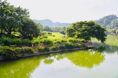 柳州市内私藏“桂林山水”：4A景区龙潭公园，是怎样的存在？