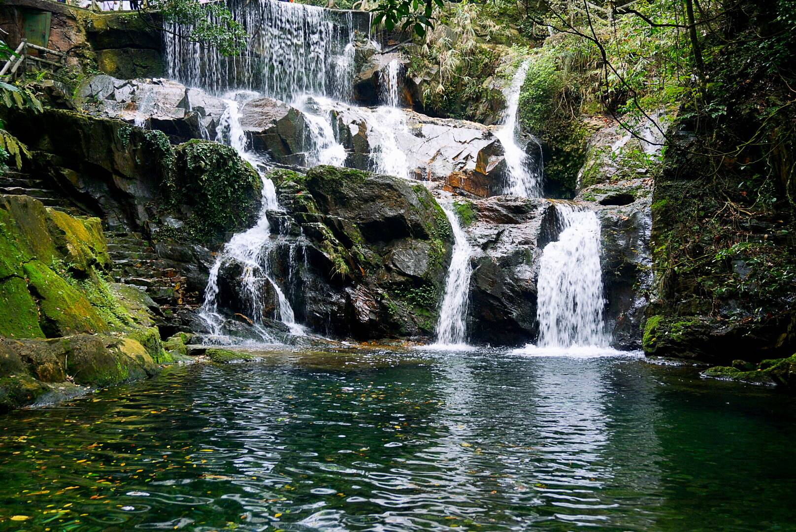 原創廣東一座國家級自然保護區的山有天然氧吧美稱