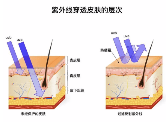 肌肤|壹祛护肤课堂|收缩毛孔小妙招，肌肤紧致细滑！