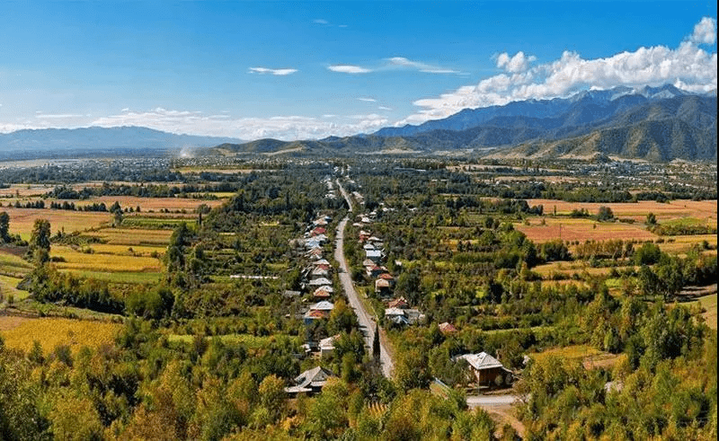 卡赫季|别卡速：全球限量1000瓶的樱桃女神你品尝过吗