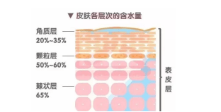 屏障|干皮如何在炎炎夏日保养护肤？沙漠大干皮速来！！