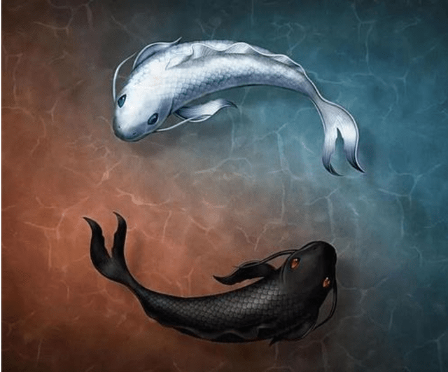 啥叫逆水 d70b554e2ba1478980899956e439498e.png