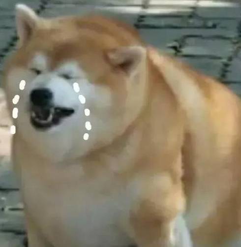 e32c0788081e41068666c0134d8a836f.jpeg