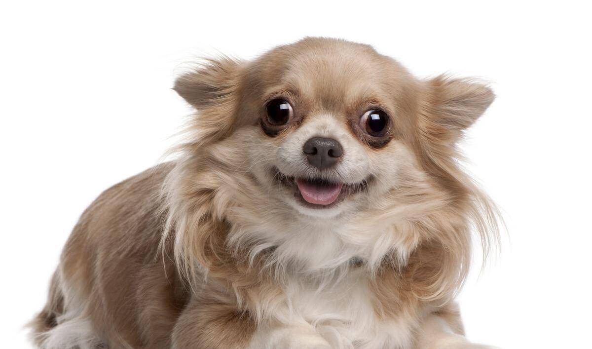 13e52fcb2b4a49879a1ebb9fe62aa8c3.jpeg
