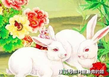 属兔人名字带什么字好女孩 属兔的名字带哪个字好