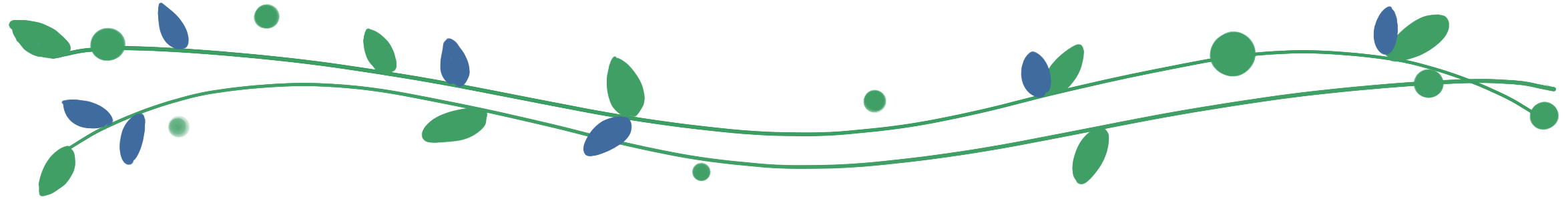 生活|时尚轻食/ 探索美味沙拉碗的奥秘