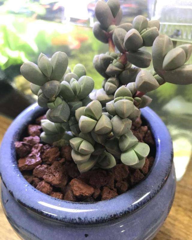 这3个星座七月 桃花旺 月老亲自牵红线 可能再续前缘 感情