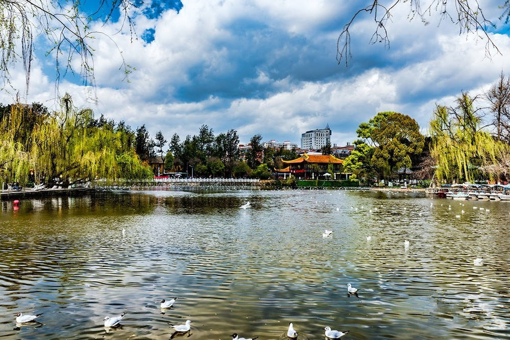 云南省会私藏的绝美公园翠湖公园的美丽真是小家碧玉