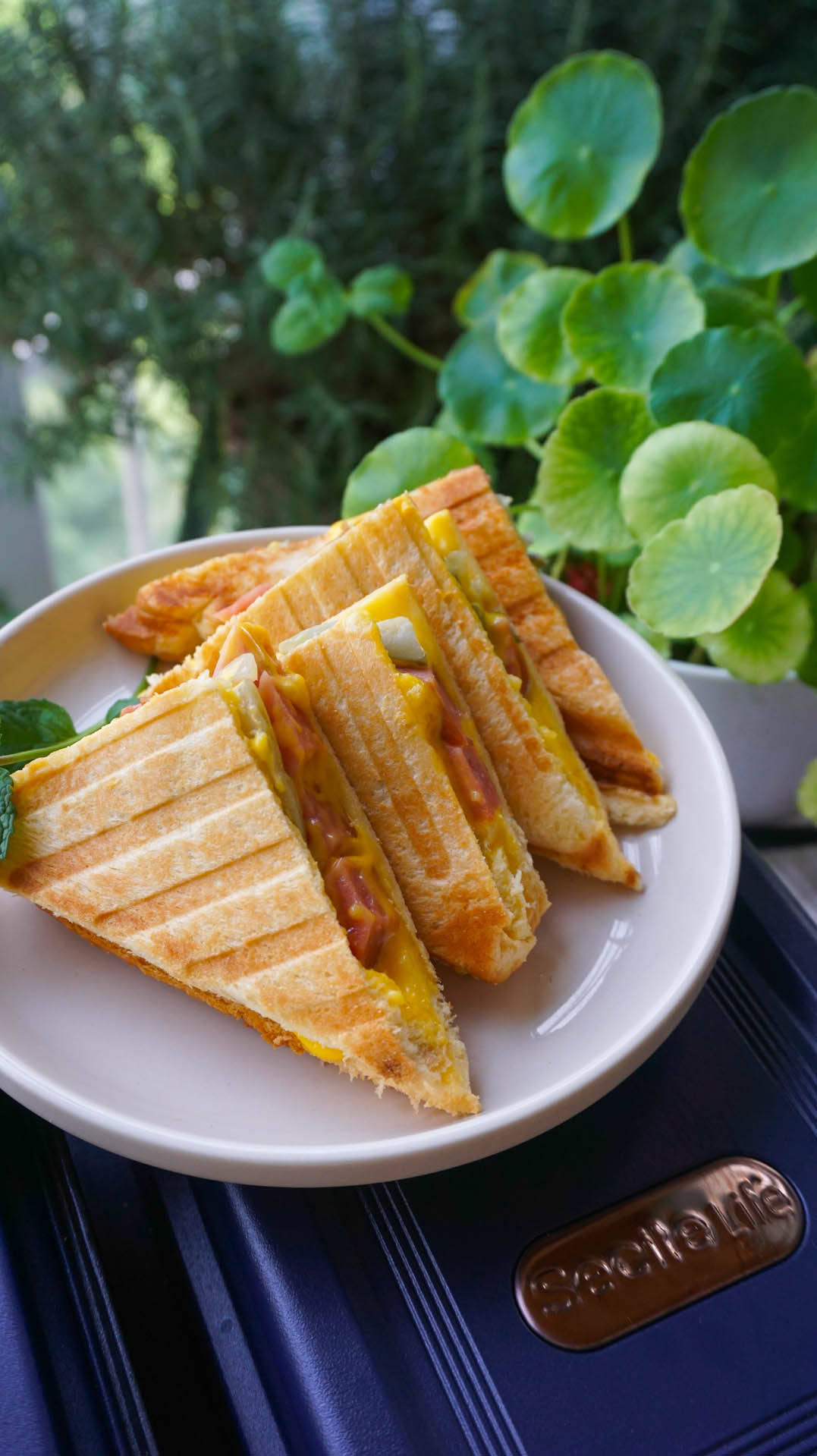 材料|假期早餐也不凑合，营养美味8分钟做好，女儿百吃不厌