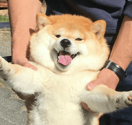 bd9d3cc3ca5f4845a2d6937ad0ca3ede.png