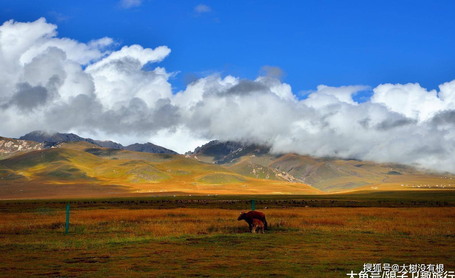 四川这个县是藏族财神的故里，犹如误落凡间的天空之城，美得真实_壤塘
