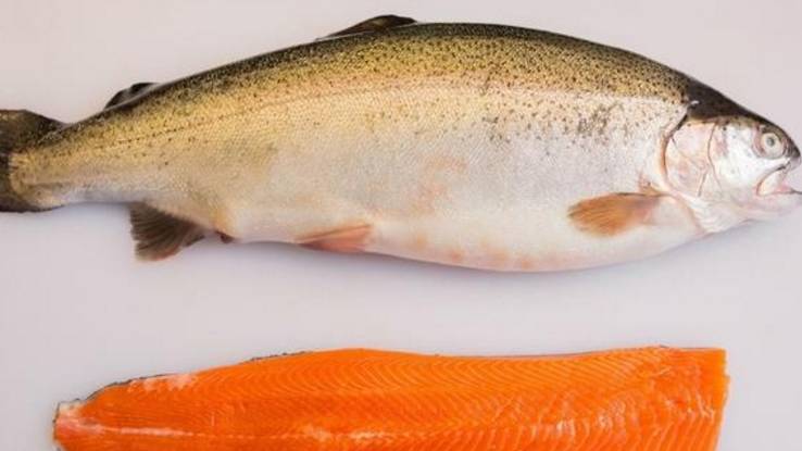 控制|糖尿病原来是可以吃肉的,2种肉大胆吃