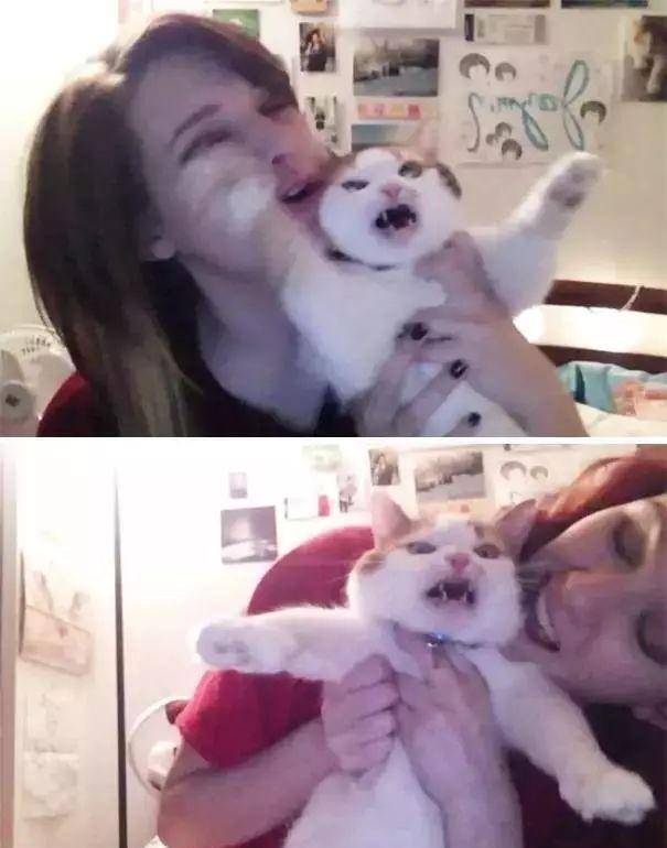 样子|主子对萌宠有几分嫌弃几分真爱？看合影就全知道了！