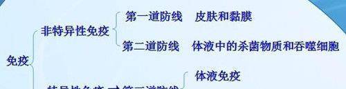 数量|乙肝特异性研究,自然感染过程,两项抗体和B细胞数量功能相关