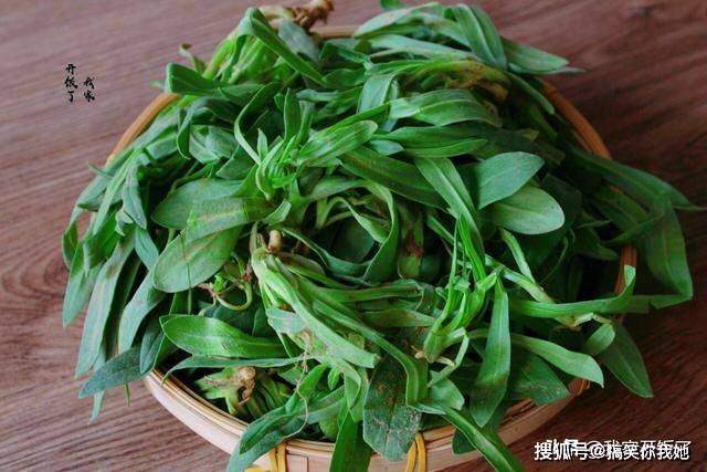 野菠菜吃法图片