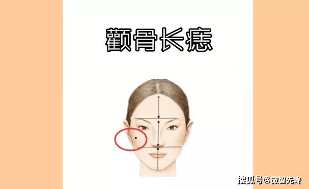 2a2e82ea45a945808c93ea0b9074a007.jpeg