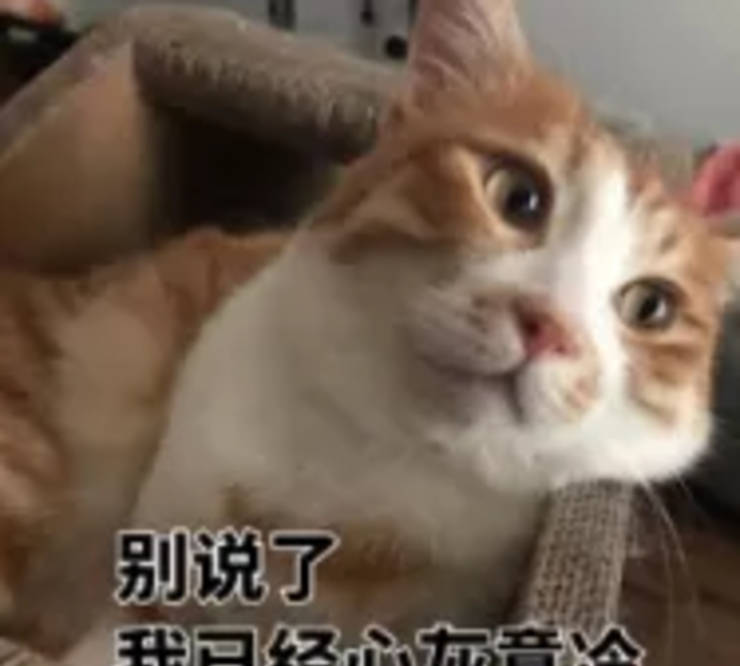 花样|别看阔腿裤+平底鞋的搭配“朴素”，其实它们俩花样可多了！