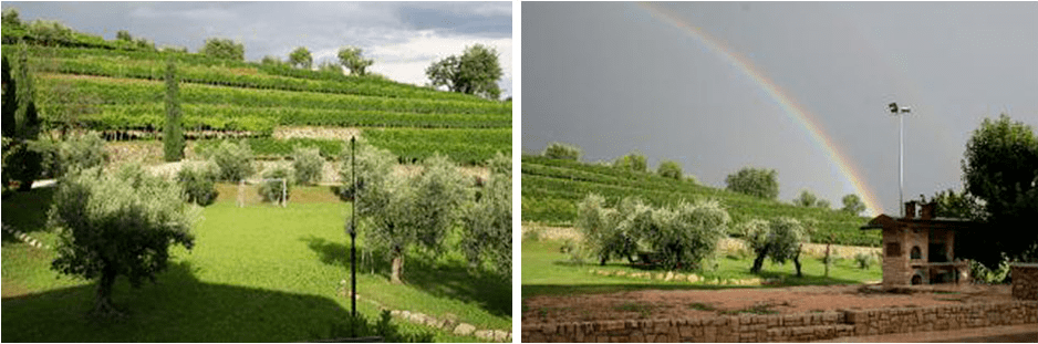 坡里|意大利阿玛罗尼两大名庄,兹美酒庄|卢比瓦约酒庄,多风格酒款!