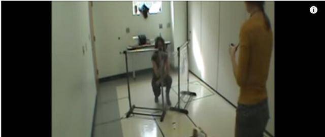 奖励|为什么狗不听话?研究表明训犬也要因材施教,不同狗用不同方法