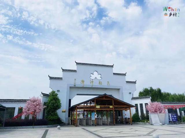 一站get 赏荷采摘住民宿 花朝河湾最全夏游攻略来啦 黄桃