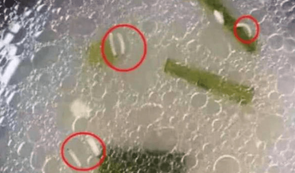 家长|幼儿园老师晒午餐照,家长发现猫腻并截图质问,班级群瞬间炸锅