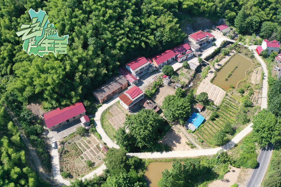 西河口乡|乡村综艺节目《这就是生活》