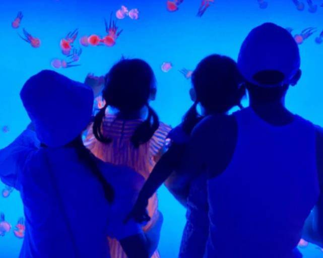 品牌|谢娜产子希望落空？品牌方证实二胎是女儿，孩子出生后迟迟未公布