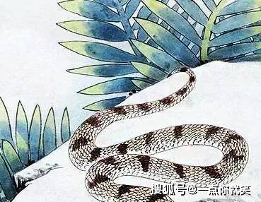 属蛇人今日财运事业 399596dd8583435c86c97ffcd927e491.jpeg