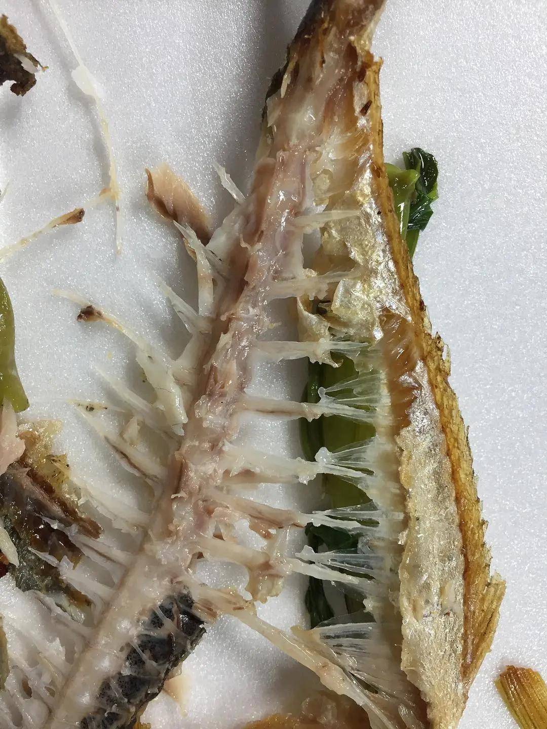 疯了废片一秒变大片海报豆瓣野生设计师p图能有多牛