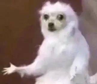 卫健|一律禁止!教育部、卫健委4部门:中小学不得设小卖部!这5类扔了也别孩子吃!