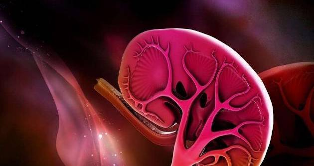 饮水量|肾病患者每天喝水多少比较合适？很多病友都答错了