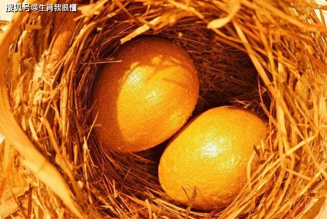 51年兔五行属木还是金 659be53ac1d047f4b7ddf19986040a7e.jpeg