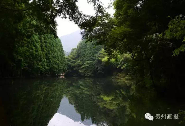 在青山绿水间、村落村寨中，畅享20℃的夏日黔南