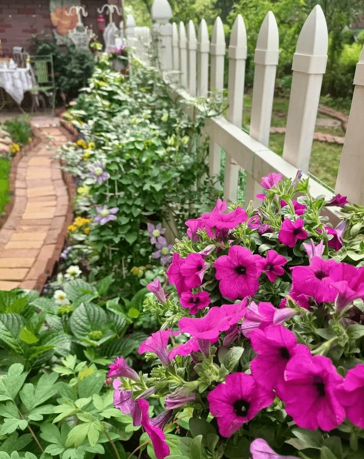 一樓90㎡小院造花園在鬧市中有個院子種花種菜太幸福了