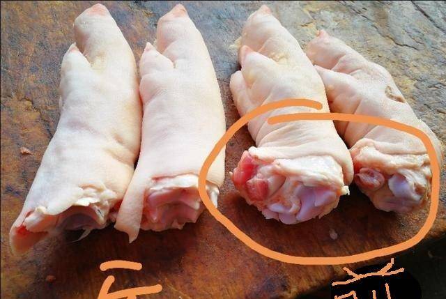 怎么选猪蹄的前蹄图片 eb00ca39f496487e95290a488ad27190.jpeg