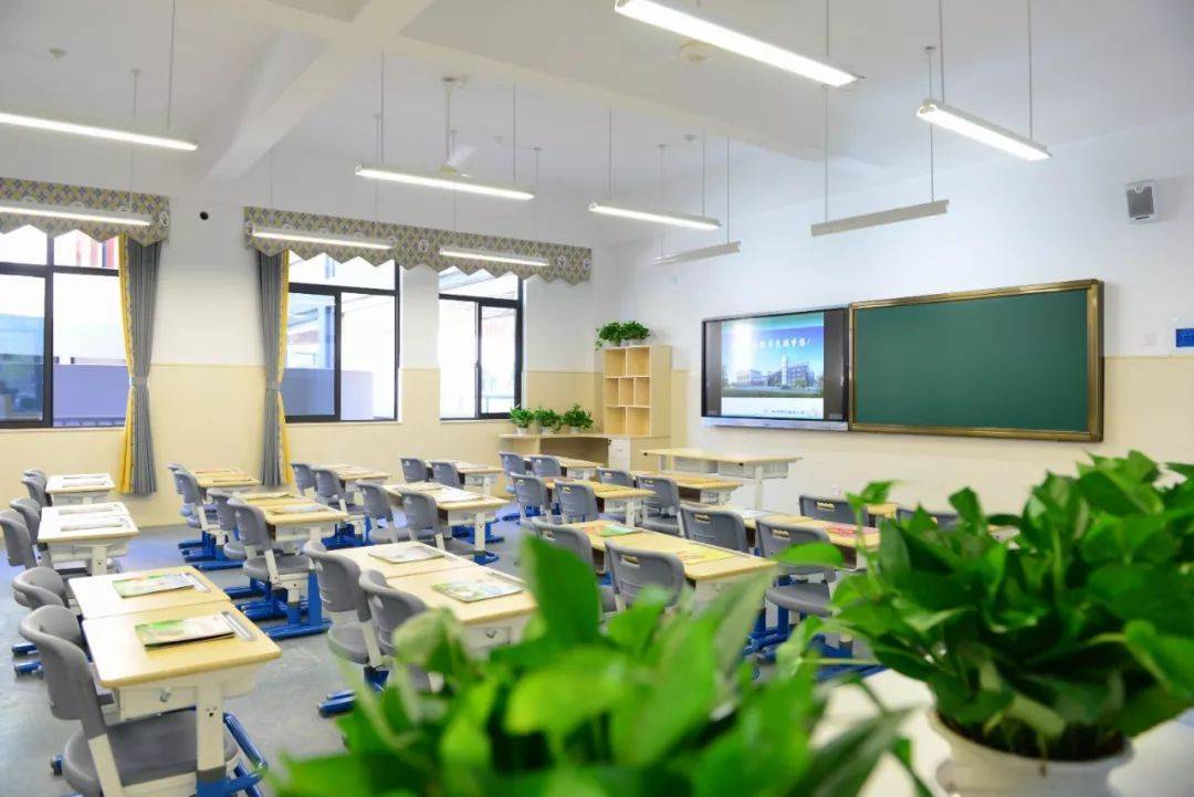 泰顺育才中学_育才中学泰顺2023_育才中学泰顺分校官网